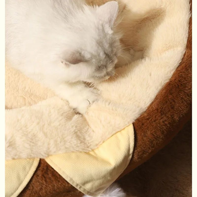 Why Your Pet Deserves the Best Sleep with Our Round Sofa Bed