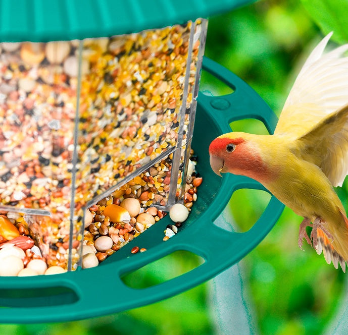 Enhance Your Garden with Our Transparent Bird Feeder