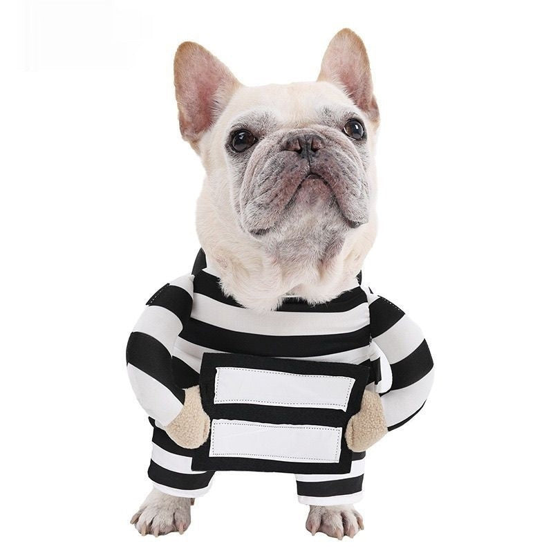 Unleash the Fun with Our Personalized Halloween Pet Prisoner Costume