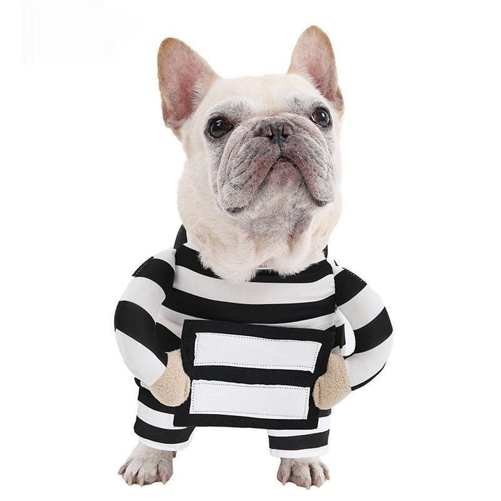 Unleash the Fun with Our Personalized Halloween Pet Prisoner Costume